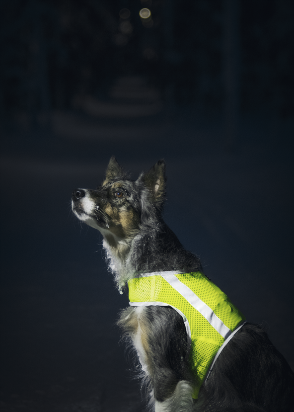 Finnero Reflexvest Neongul