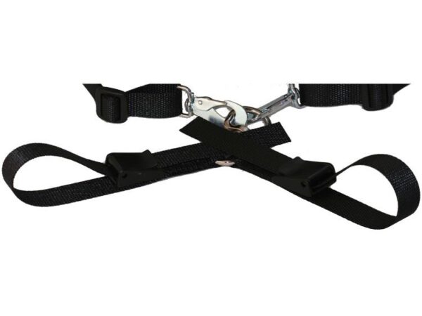 Baggen Hurtigutløser