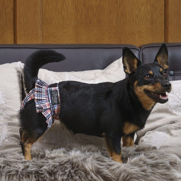 Finnero Ballerina Tispetruse