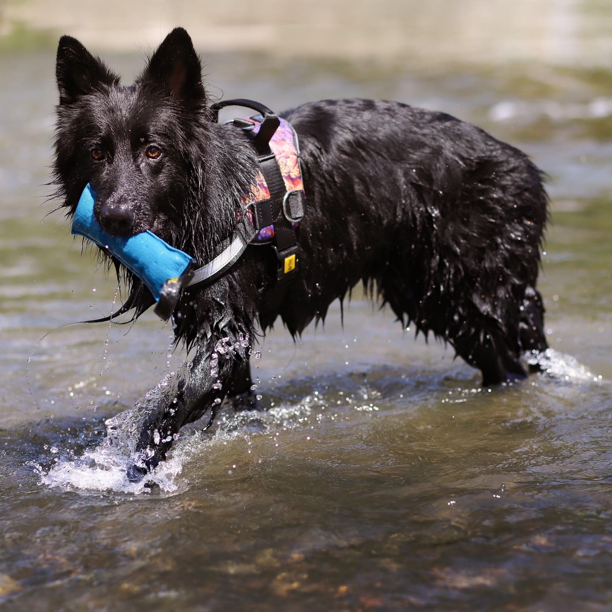 Dingo Bitepølse Jute 27cm - Bilde 4