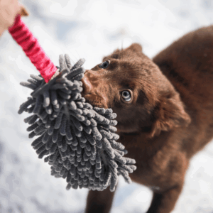 Dingo Draleke M/Mopp Blå - Bilde 2
