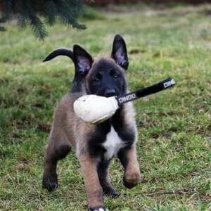 Dingo Lærball M/Hempe 8cm - Bilde 2