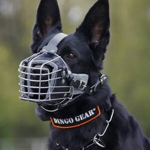 Dingo Treningsmunnkurv Polstret Metall Str 1 - Bilde 2