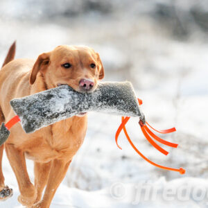 Dummy "Fasan" 1000gr - Bilde 2