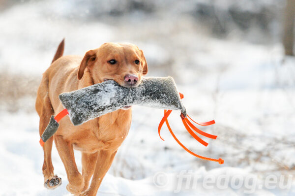 Dummy "Fasan" 1000gr