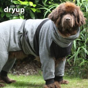 Dryup Body Zip.Fit Grå