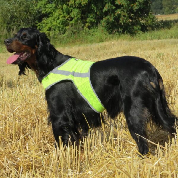 Finnero Reflexvest Neongul