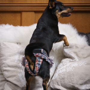 Finnero Ballerina Tispetruse - Bilde 3