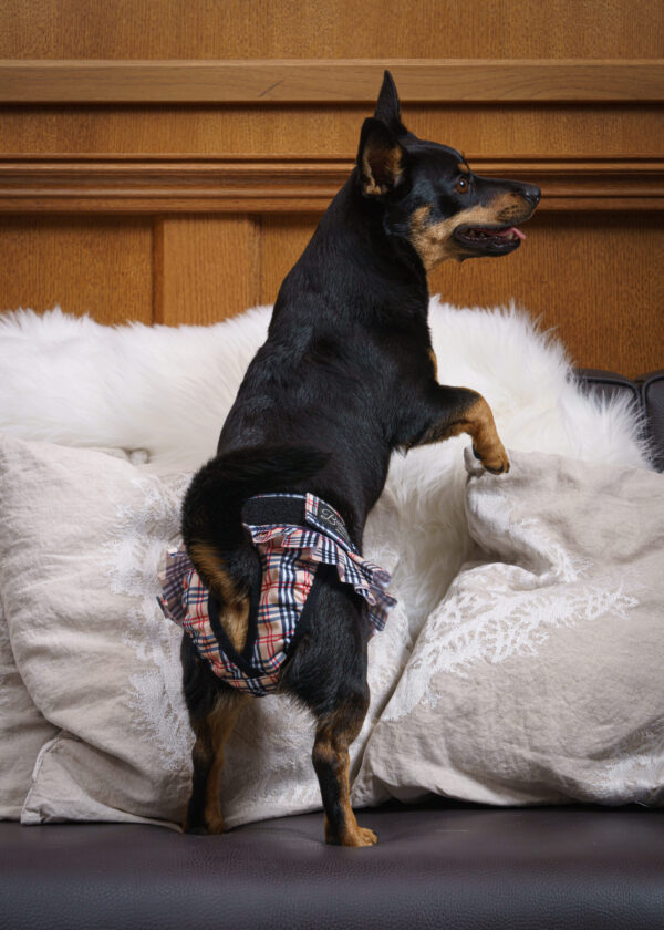 Finnero Ballerina Tispetruse