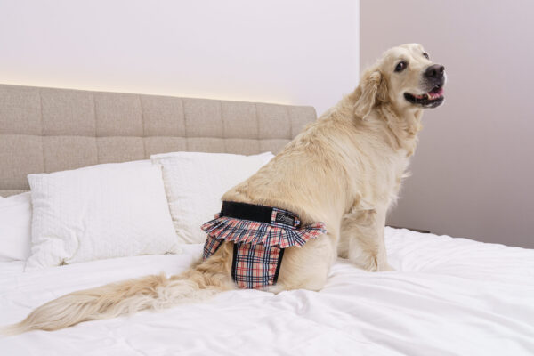 Finnero Ballerina Tispetruse