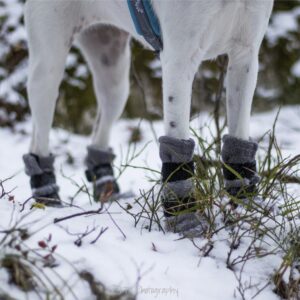 Finnero Halla Fleecesokk 4Pk Grå - Bilde 2