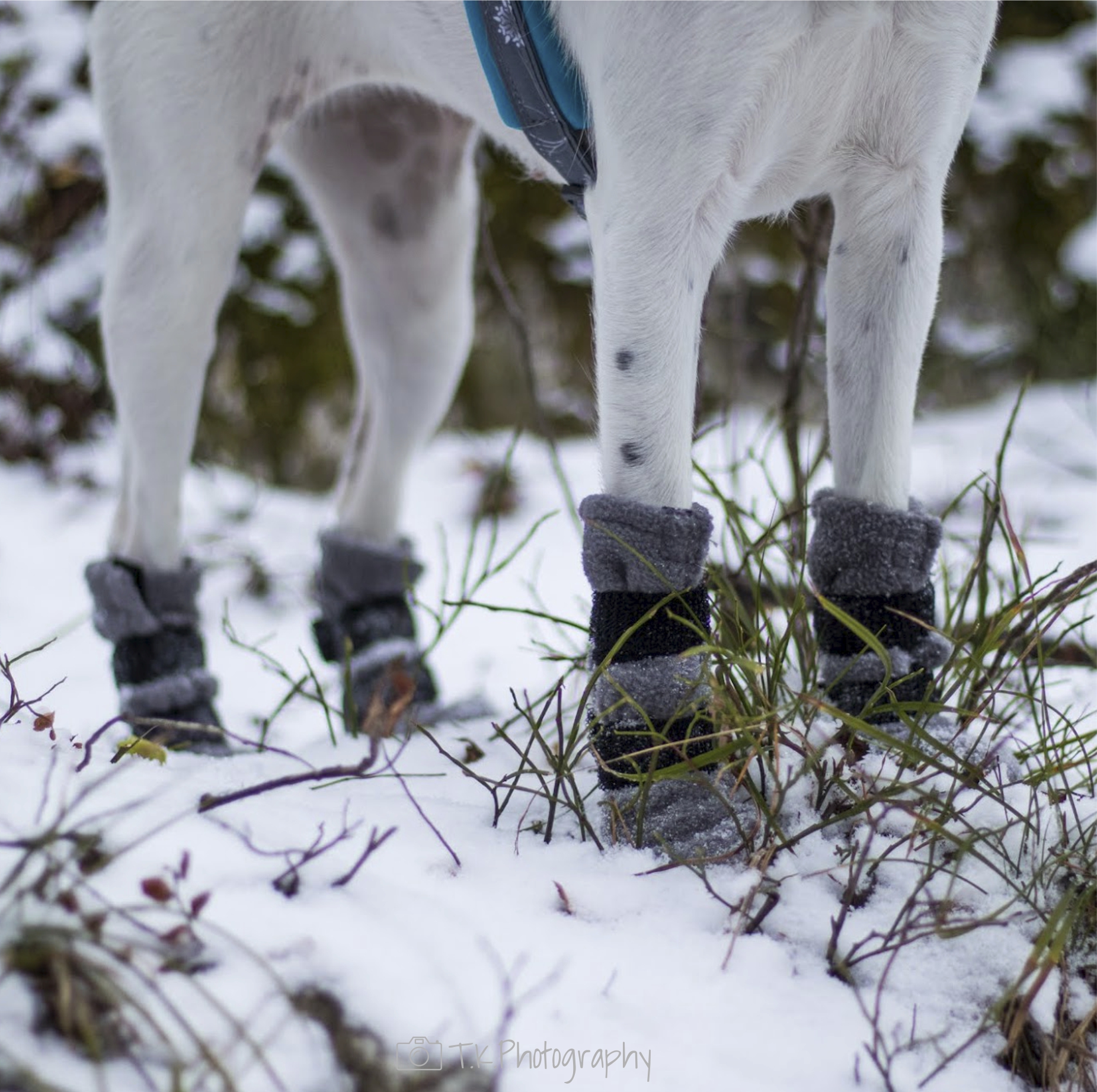Finnero Halla Fleecesokk 4Pk Grå - Bilde 2