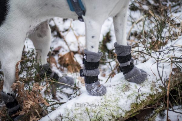 Finnero Halla Fleecesokk 4Pk Grå