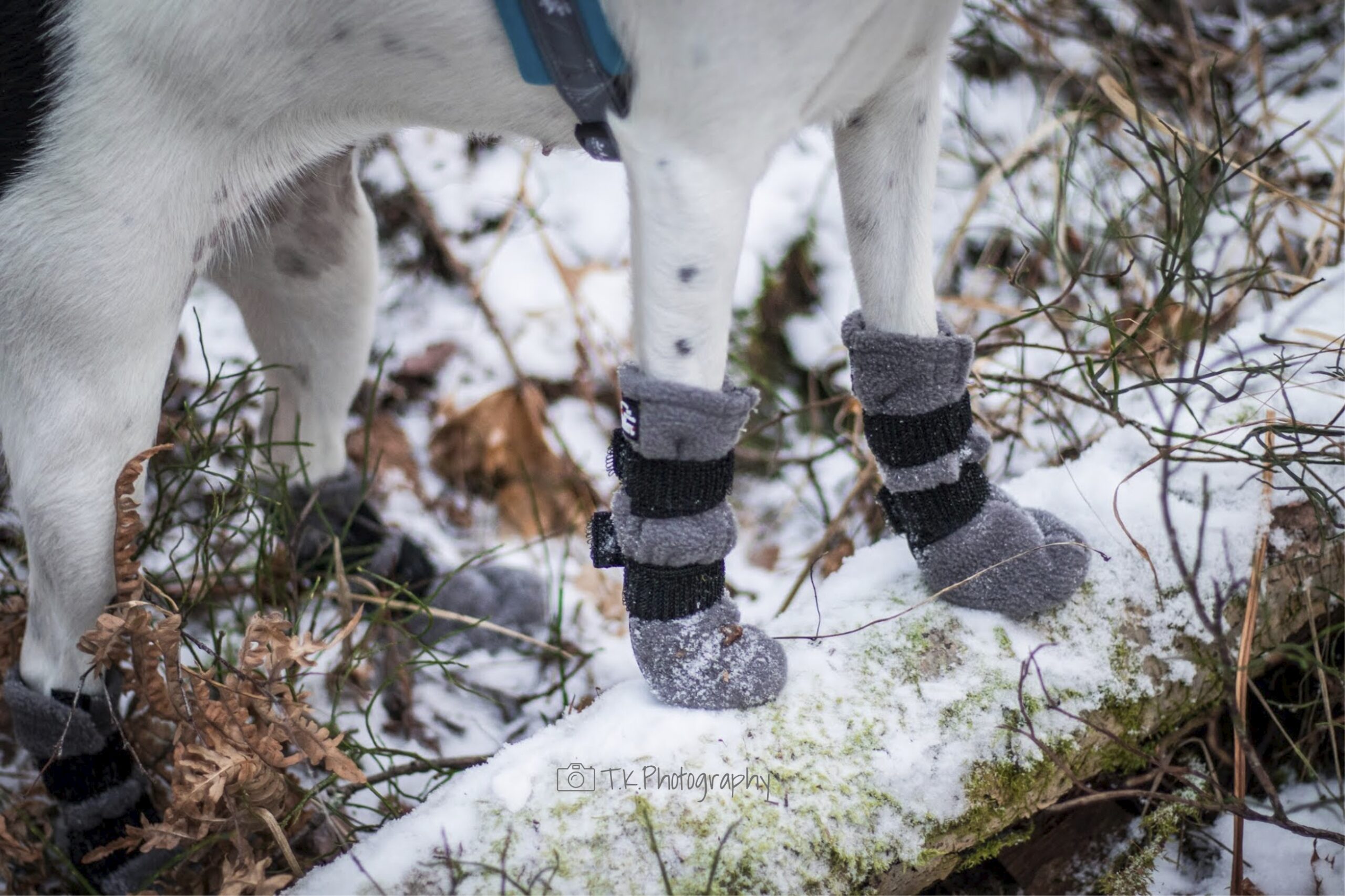 Finnero Halla Fleecesokk 4Pk Grå - Bilde 3