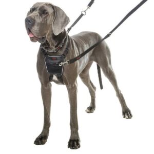 Halti No-Pull Harness - Bilde 2