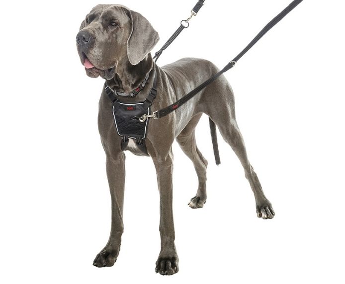 Halti No-Pull Harness - Bilde 2