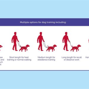 Halti Training Lead - Bilde 4