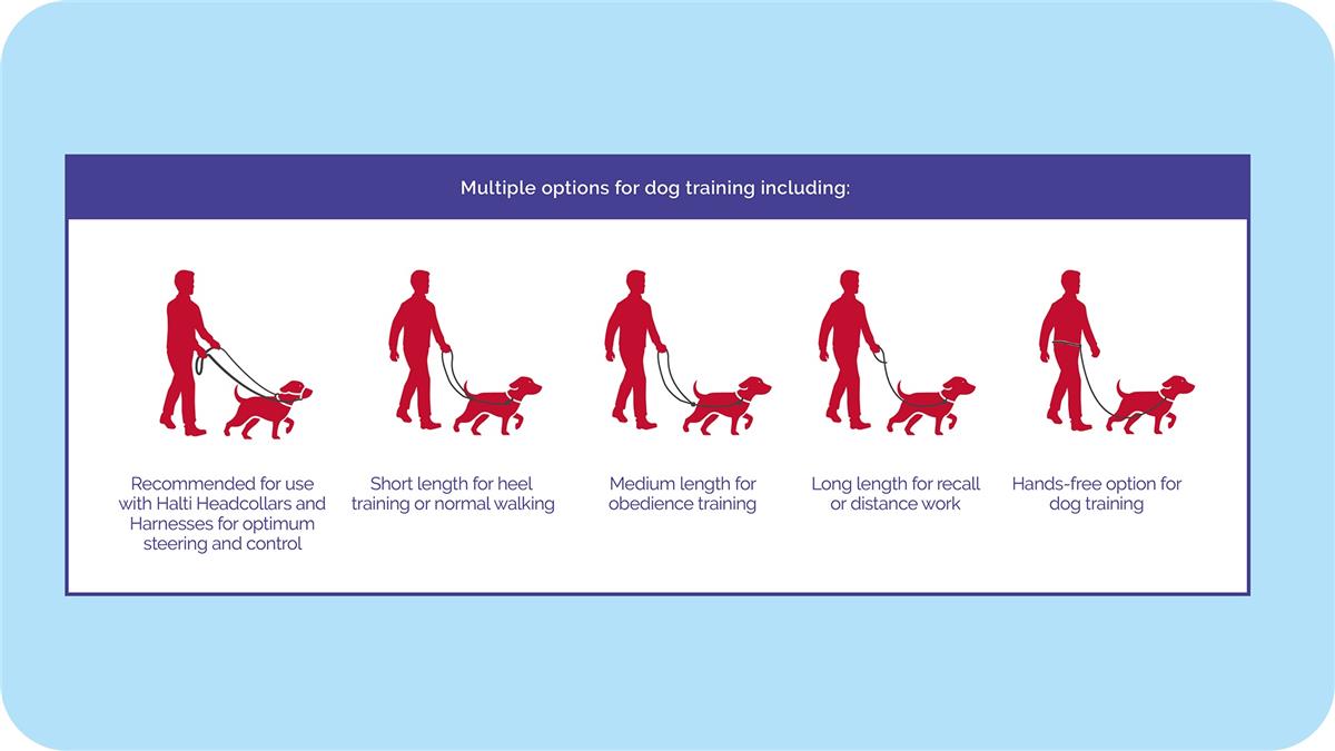 Halti Training Lead - Bilde 4