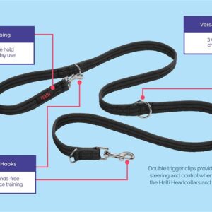 Halti Training Lead - Bilde 3