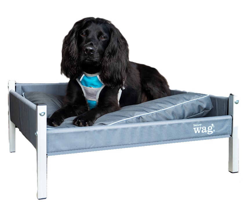 Henry Wag Adventure Bed - Bilde 2