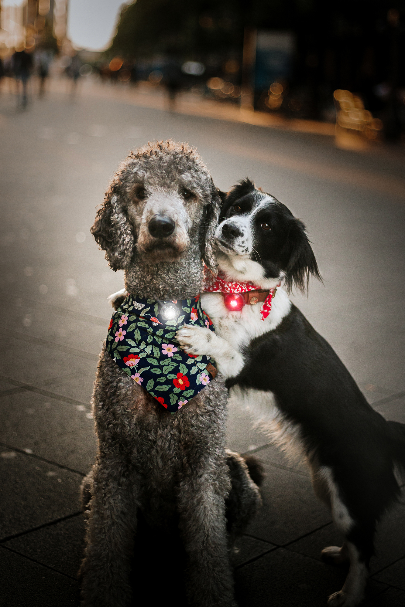 Orbiloc Twin Pack - Bilde 2