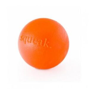 Planet Dog Squeak Ball - Bilde 2