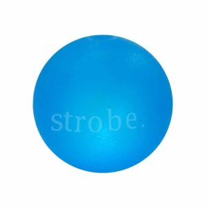 Planet Dog Strobe Ball