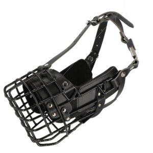 Dingo Treningsmunnkurv - Bilde 5