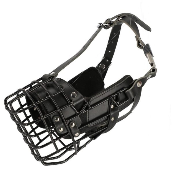 Dingo Treningsmunnkurv