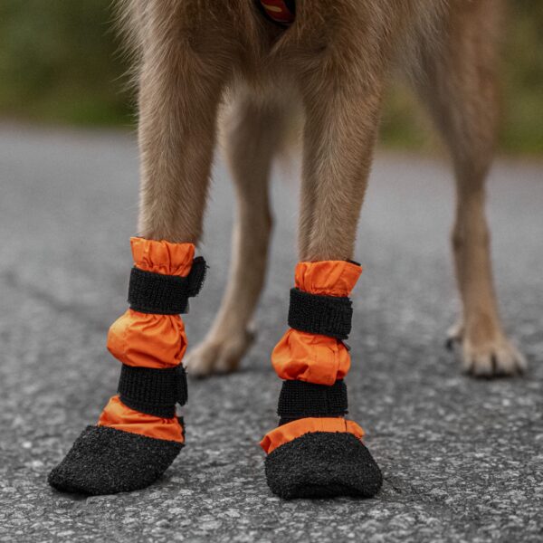 Finnero Sulo Beskyttelsessokk 2Pk