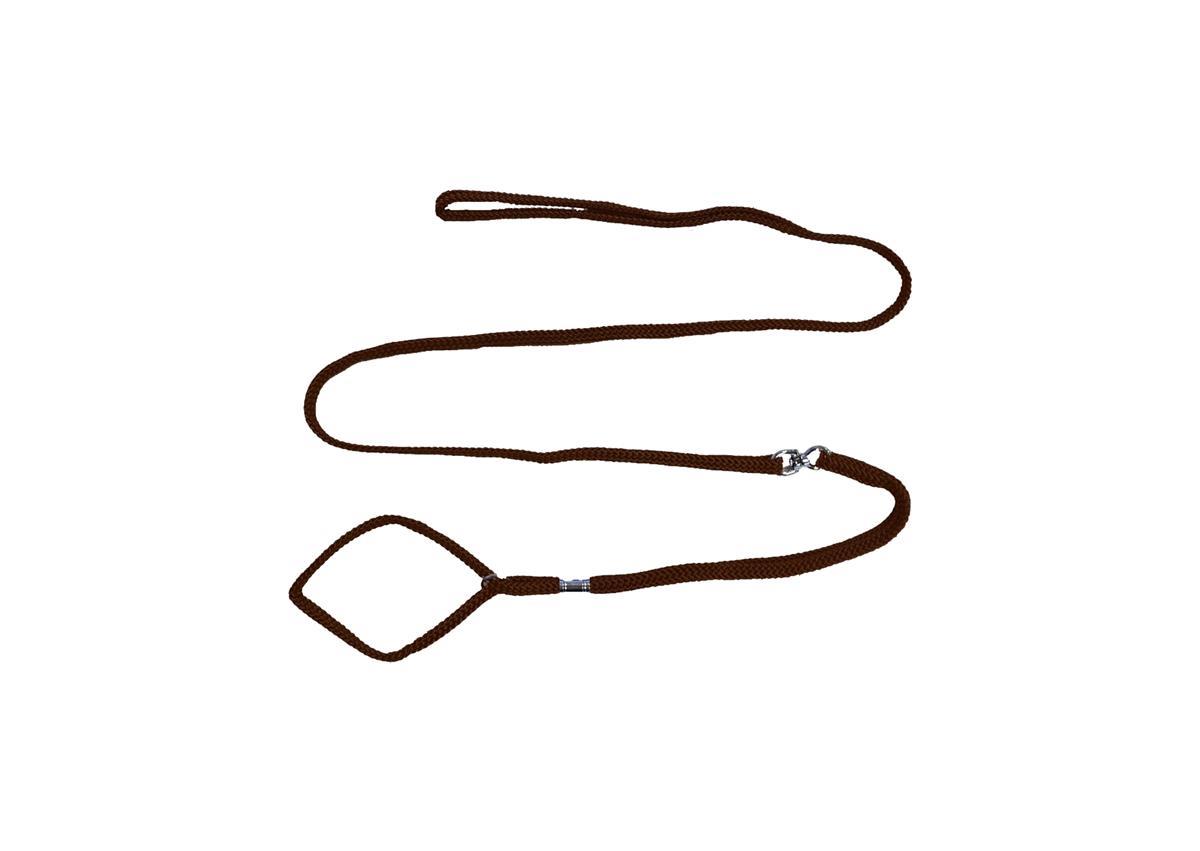 Show Tech Utstillingsline Flat m/Strup Brun - Bilde 1