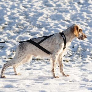 Yukon Nomesele Dobbel Stolpe