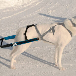 Yukon Bakdel Pinnesele Sjøgrønn - Bilde 1