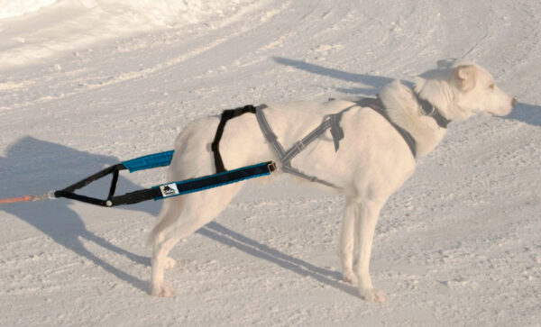 Yukon Bakdel Pinnesele Sjøgrønn