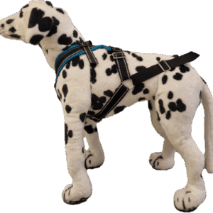 Yukon Kombitrekksele Turkis