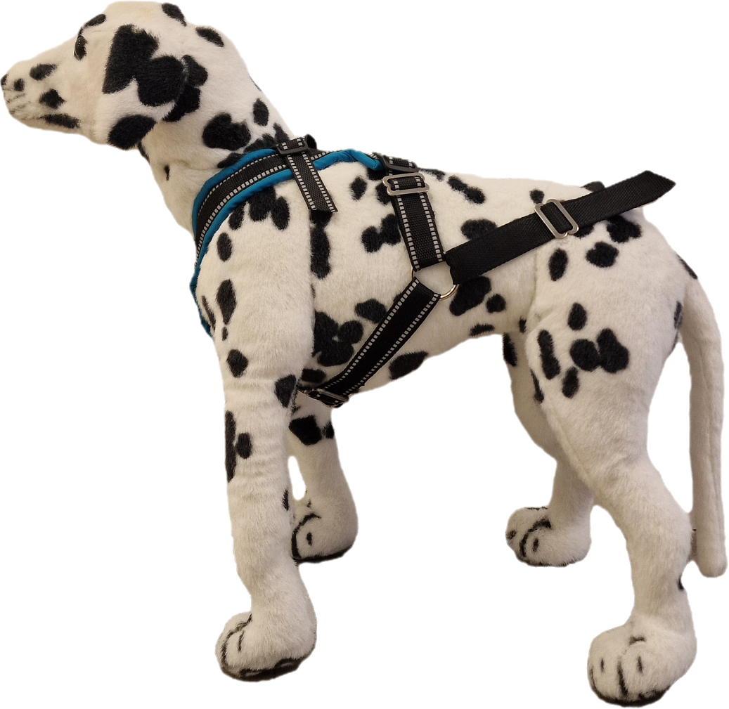 Yukon Kombitrekksele Turkis - Bilde 1