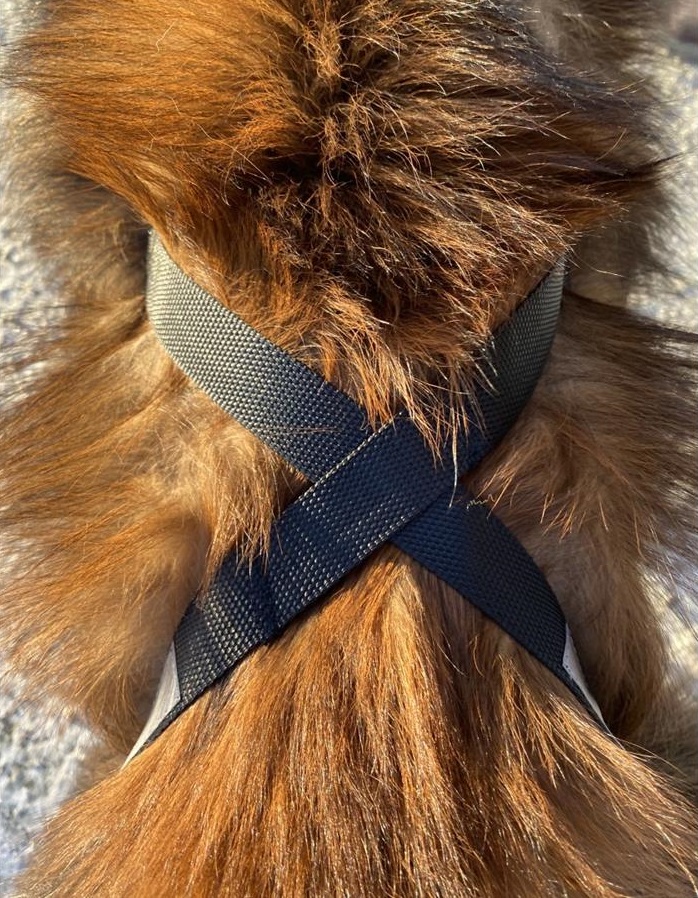 Yukon Nomesele Dobbel Stolpe - Bilde 3