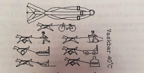 Yukon Trekksele Senior