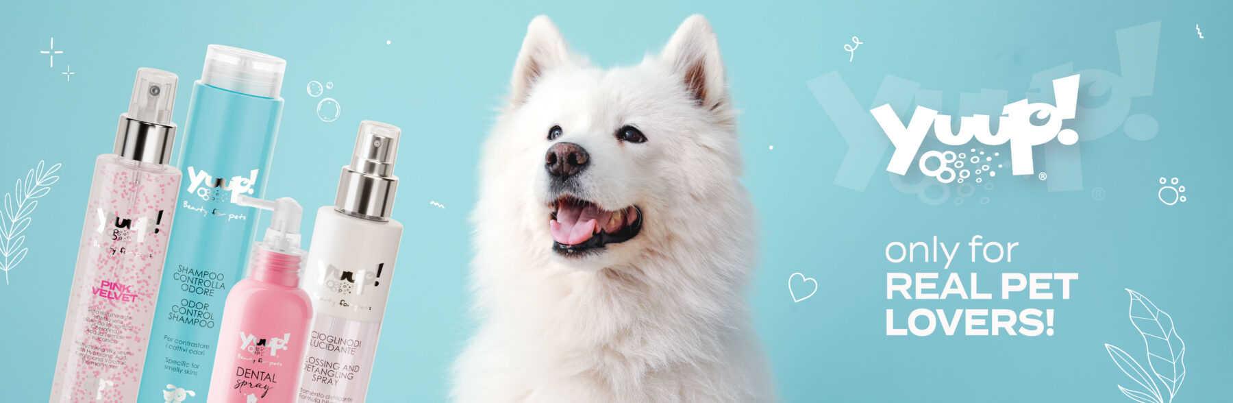 Hvit hund, blå bakgrunn med pelspleieprodukter på siden