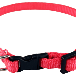 Alac Valpehalsbånd 10mm - Bilde 4