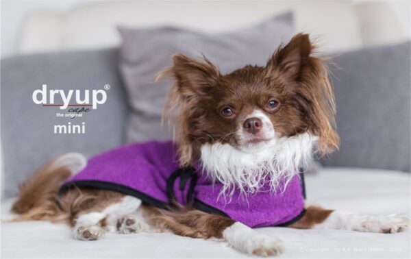 Dryup Cape Original MINI Bilberry