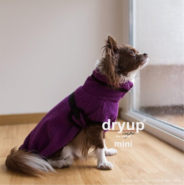 Dryup Cape Original MINI Bilberry