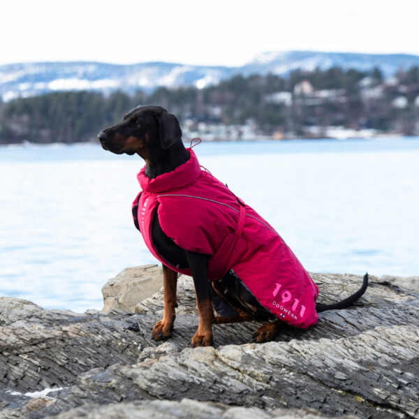 Arktis Warm Coat Cerise