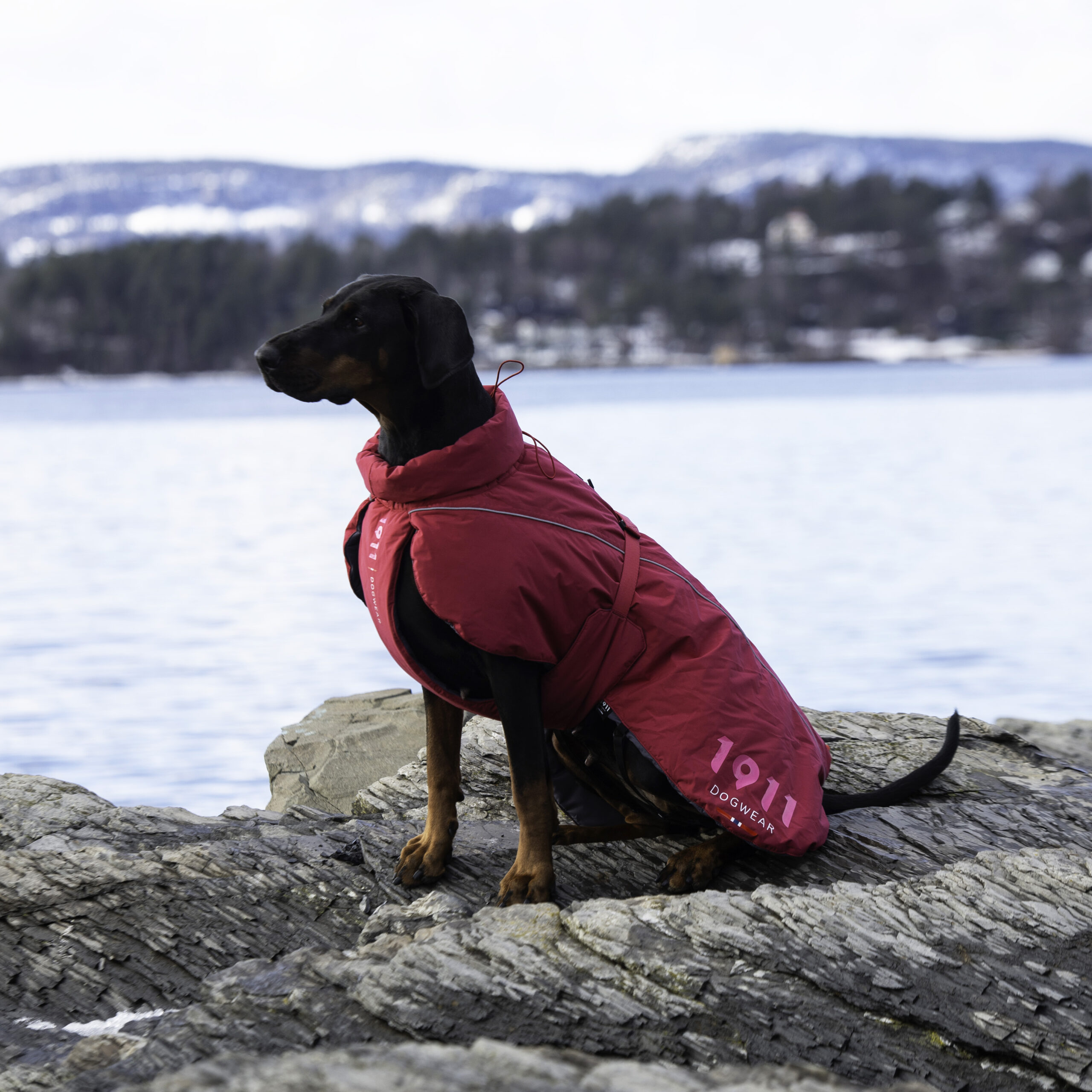 Arktis Warm Coat Cerise - Bilde 2
