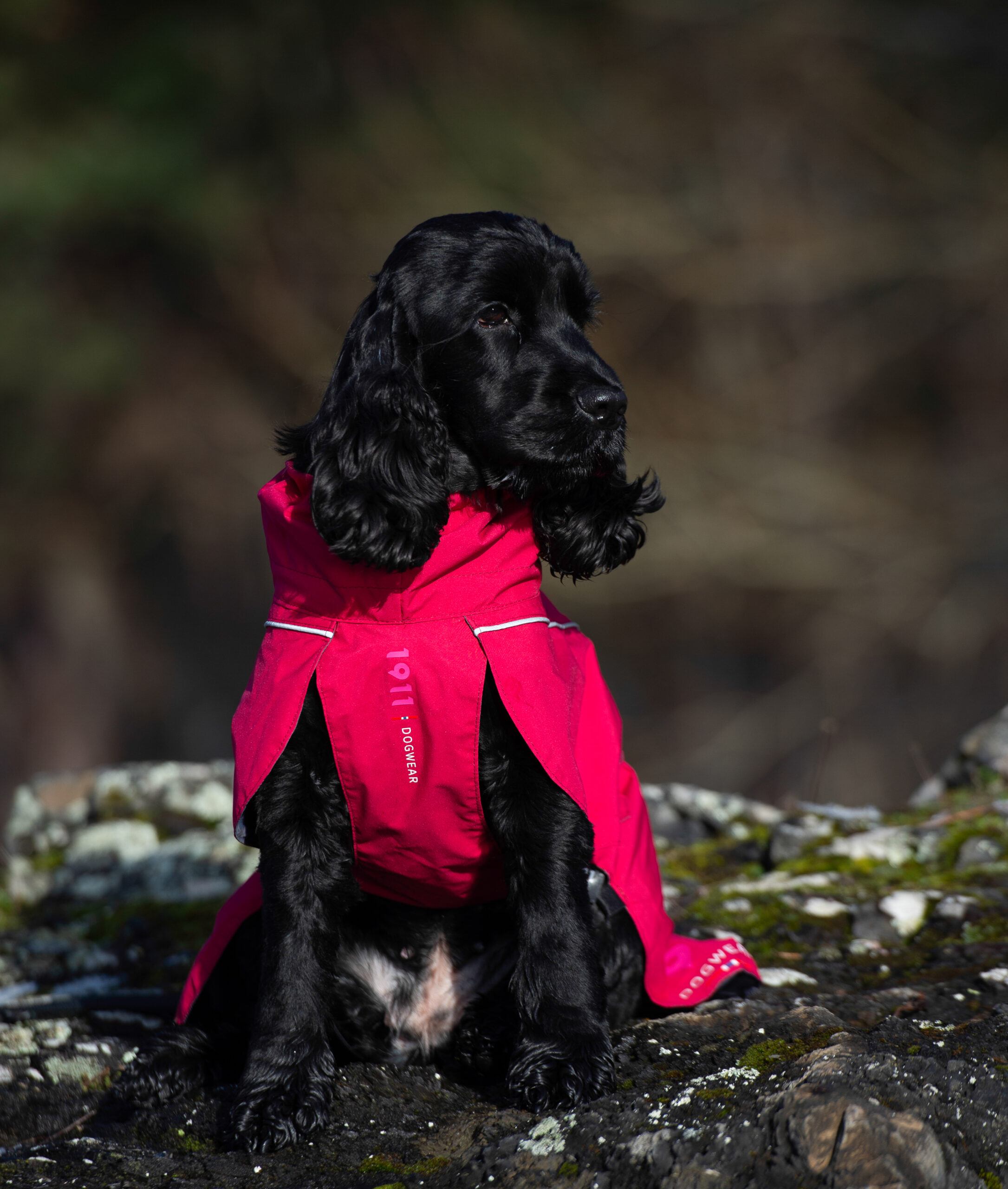 Clark Rain Coat Cerise - Bilde 2
