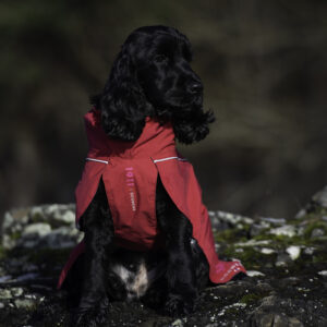 Clark Rain Coat Cerise - Bilde 2