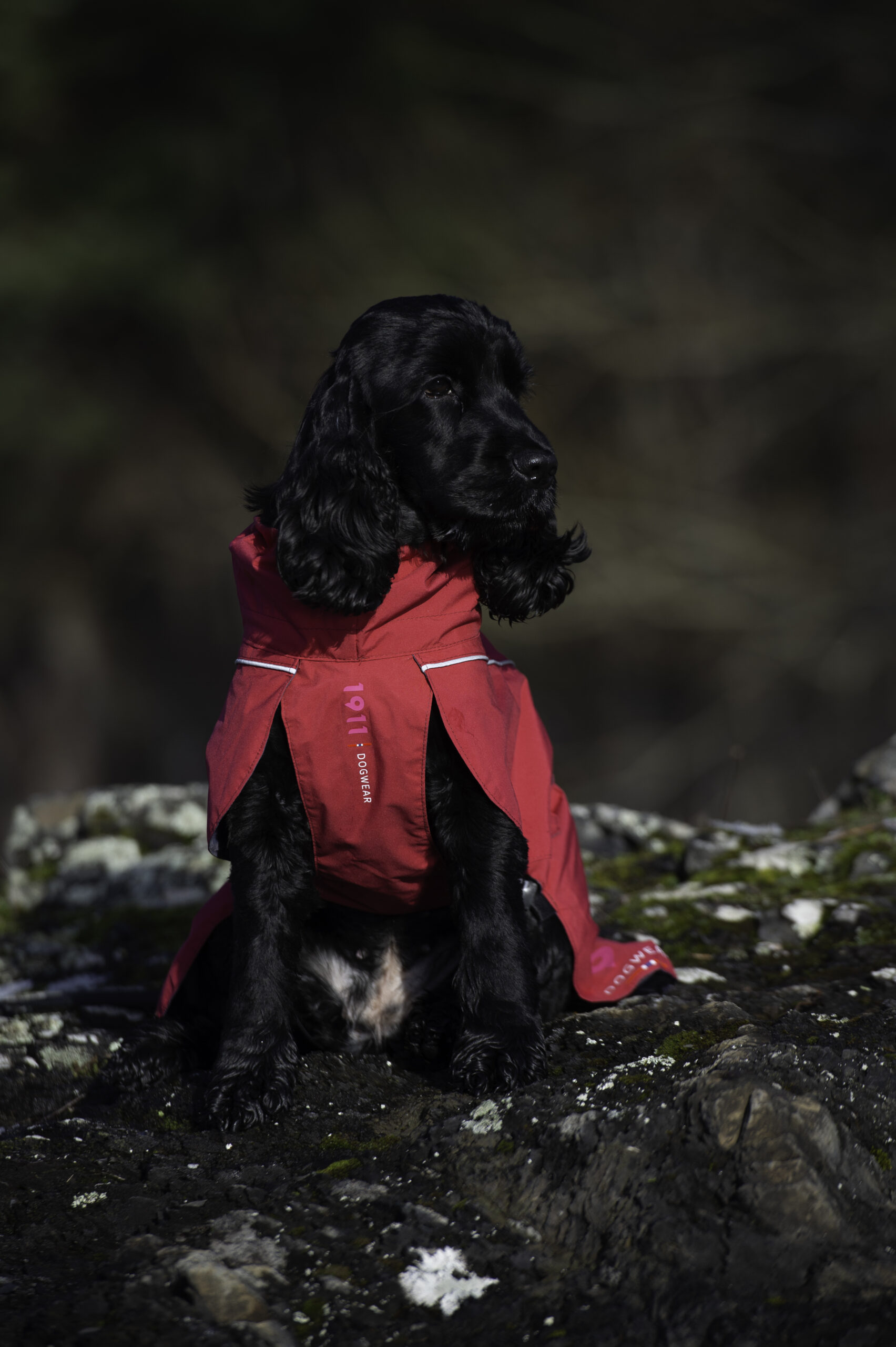 Clark Rain Coat Cerise - Bilde 2