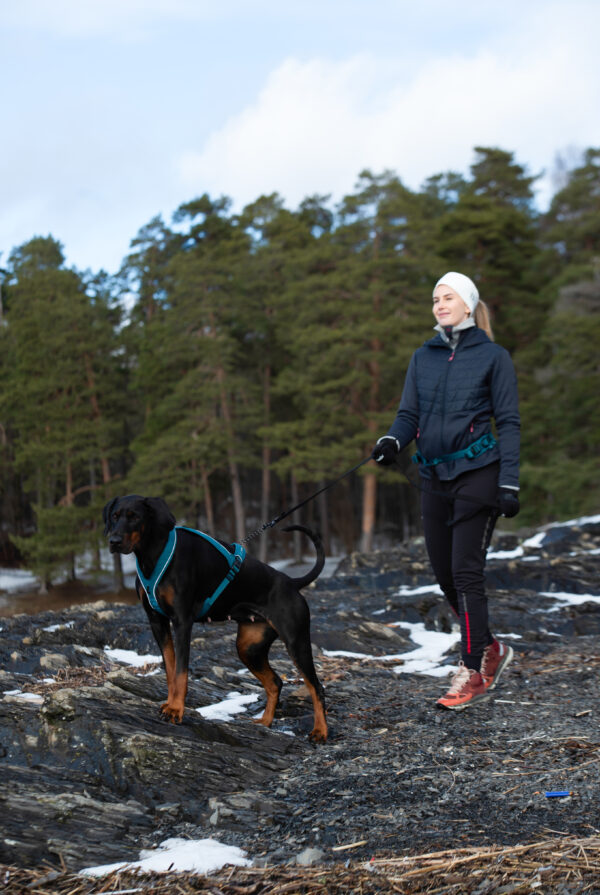 Nanuq Trail Harness Cerise