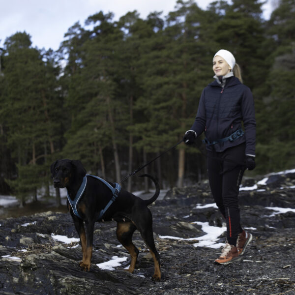Nanuq Trail Harness Petrol