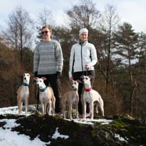 Odin Collar Petrol - Bilde 2